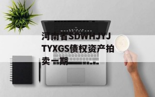河南省SDWHJYJTYXGS债权资产拍卖一期