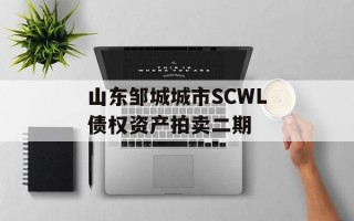 山东邹城城市SCWL债权资产拍卖二期