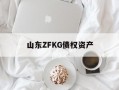 山东ZFKG债权资产