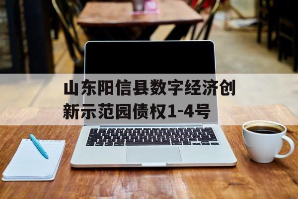 山东阳信县数字经济创新示范园债权1-4号-第1张图片-定融评测网