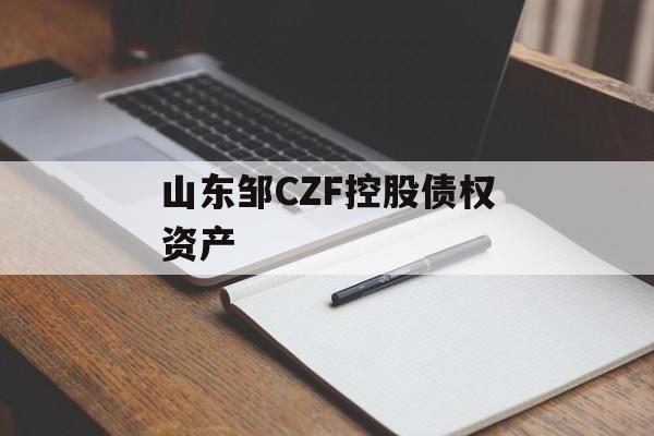 山东邹CZF控股债权资产-第1张图片-定融评测网