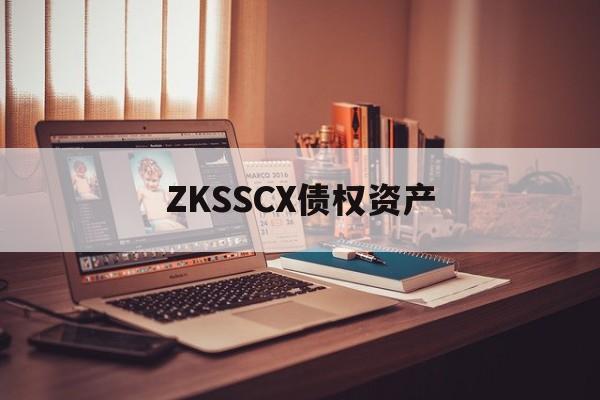 ZKSSCX债权资产-第1张图片-定融评测网