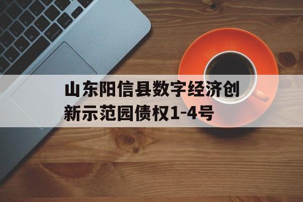 山东阳信县数字经济创新示范园债权1-4号-第1张图片-定融评测网