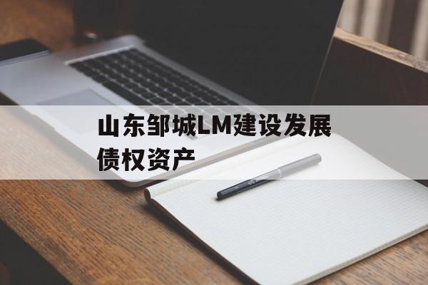 山东邹城LM建设发展债权资产-第1张图片-定融评测网