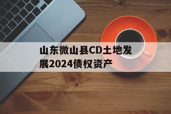 山东微山县CD土地发展2024债权资产-第1张图片-定融评测网