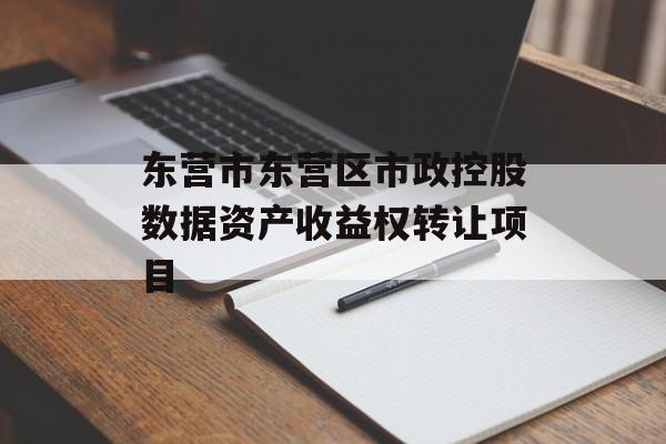 东营市东营区市政控股数据资产收益权转让项目-第1张图片-定融评测网