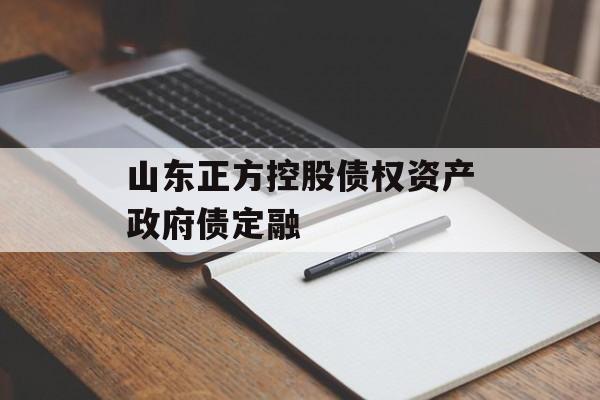 山东正方控股债权资产政府债定融-第1张图片-定融评测网