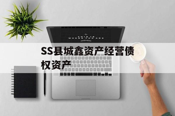 SS县城鑫资产经营债权资产-第1张图片-定融评测网