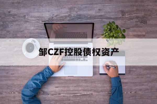 邹CZF控股债权资产-第1张图片-定融评测网
