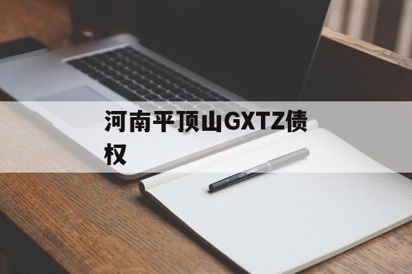 河南平顶山GXTZ债权-第1张图片-定融评测网