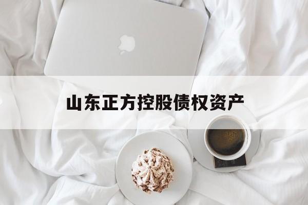 山东正方控股债权资产-第1张图片-定融评测网