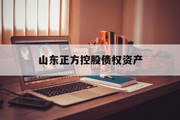 山东正方控股债权资产-第1张图片-定融评测网