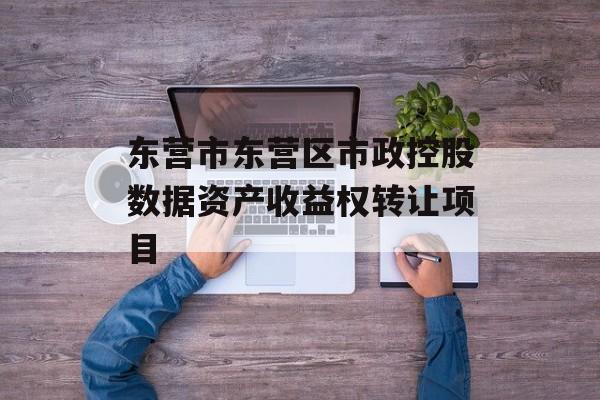 东营市东营区市政控股数据资产收益权转让项目-第1张图片-定融评测网