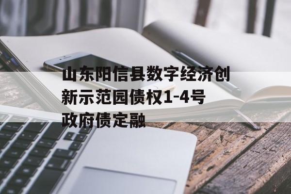 山东阳信县数字经济创新示范园债权1-4号政府债定融-第1张图片-定融评测网