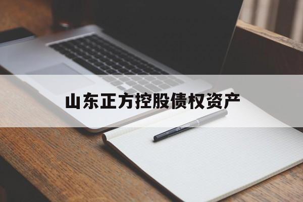 山东正方控股债权资产-第1张图片-定融评测网