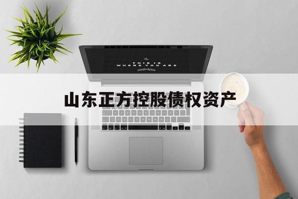 山东正方控股债权资产-第1张图片-定融评测网