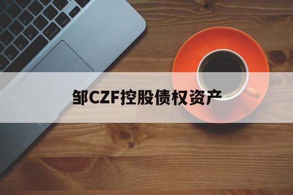邹CZF控股债权资产-第1张图片-定融评测网
