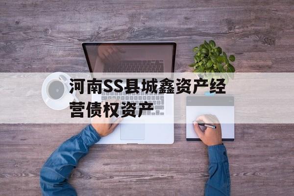 河南SS县城鑫资产经营债权资产-第1张图片-定融评测网