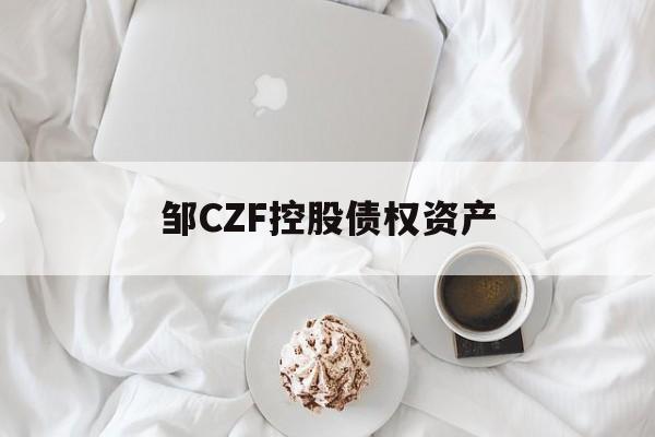 邹CZF控股债权资产-第1张图片-定融评测网