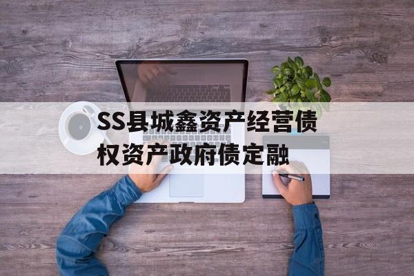 SS县城鑫资产经营债权资产政府债定融-第1张图片-定融评测网