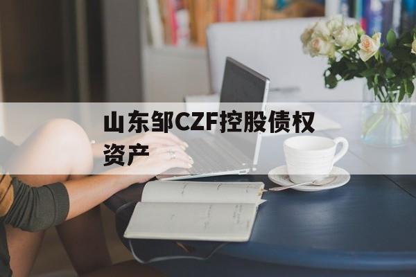 山东邹CZF控股债权资产-第1张图片-定融评测网