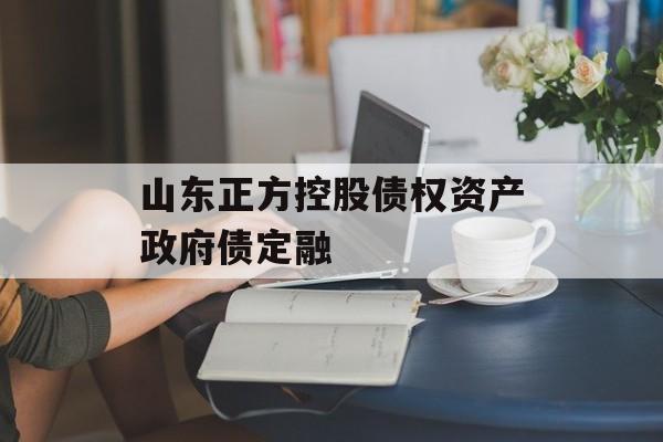 山东正方控股债权资产政府债定融-第1张图片-定融评测网