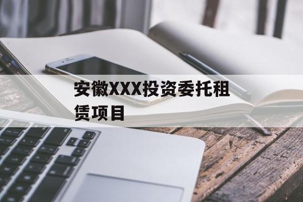 安徽XXX投资委托租赁项目-第1张图片-定融评测网