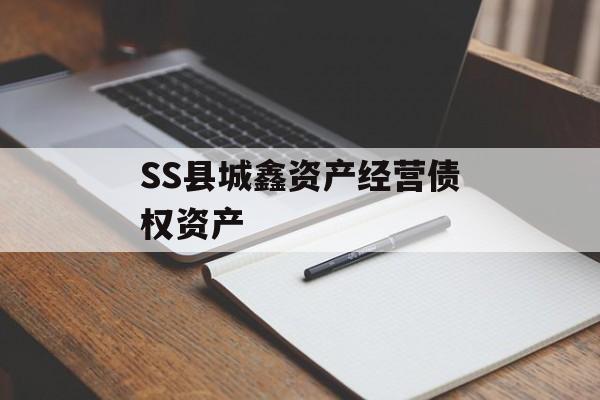 SS县城鑫资产经营债权资产-第1张图片-定融评测网
