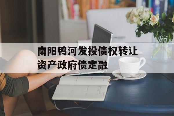 南阳鸭河发投债权转让资产政府债定融-第1张图片-定融评测网