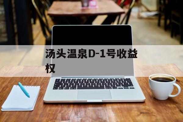 汤头温泉D-1号收益权-第1张图片-定融评测网