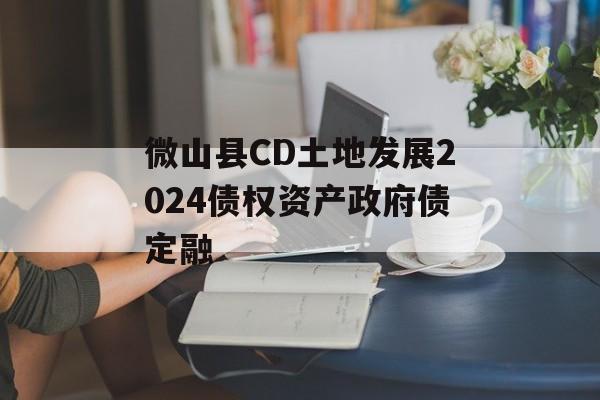 微山县CD土地发展2024债权资产政府债定融-第1张图片-定融评测网