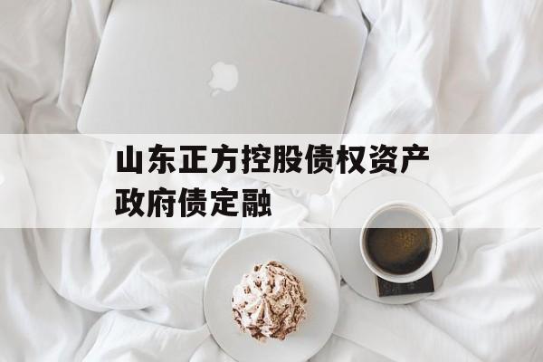 山东正方控股债权资产政府债定融-第1张图片-定融评测网