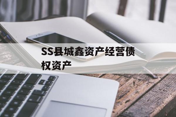 SS县城鑫资产经营债权资产-第1张图片-定融评测网