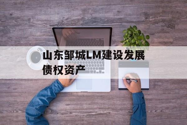 山东邹城LM建设发展债权资产-第1张图片-定融评测网