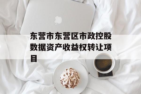 东营市东营区市政控股数据资产收益权转让项目-第1张图片-定融评测网