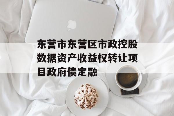 东营市东营区市政控股数据资产收益权转让项目政府债定融-第1张图片-定融评测网