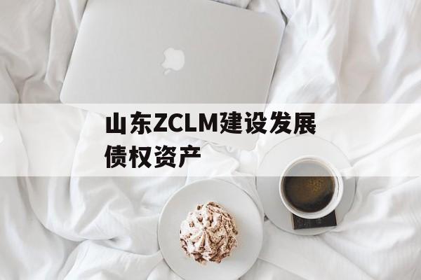 山东ZCLM建设发展债权资产-第1张图片-定融评测网