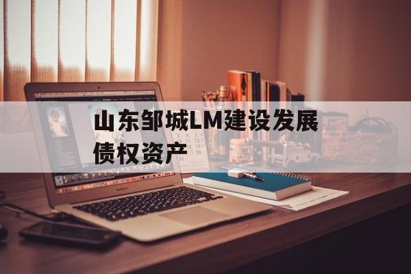 山东邹城LM建设发展债权资产-第1张图片-定融评测网