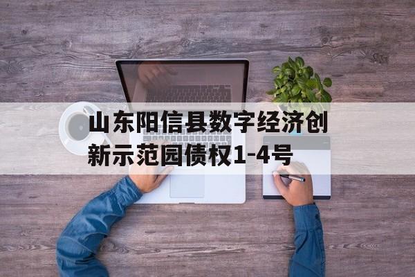 山东阳信县数字经济创新示范园债权1-4号-第1张图片-定融评测网