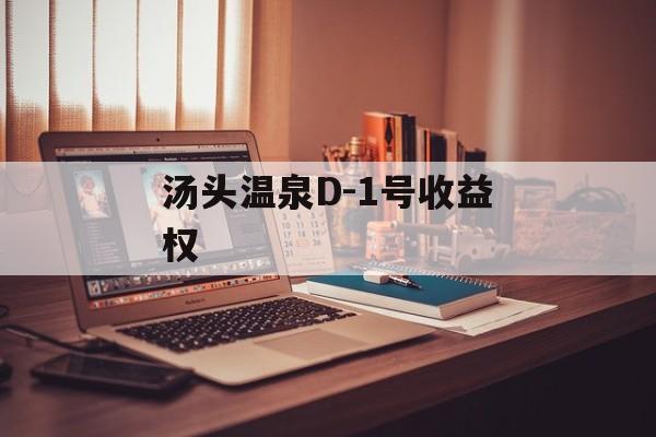 汤头温泉D-1号收益权-第1张图片-定融评测网
