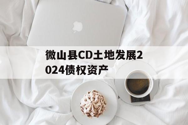 微山县CD土地发展2024债权资产-第1张图片-定融评测网