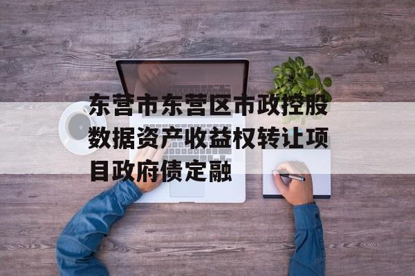 东营市东营区市政控股数据资产收益权转让项目政府债定融-第1张图片-定融评测网