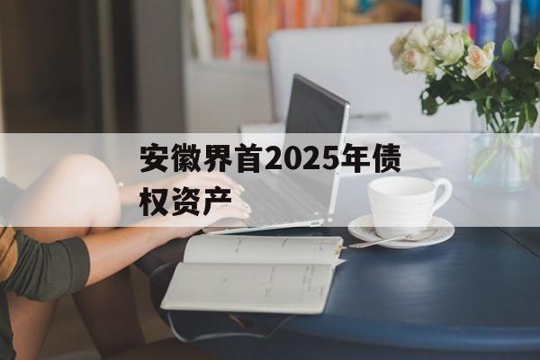 安徽界首2025年债权资产-第1张图片-定融评测网