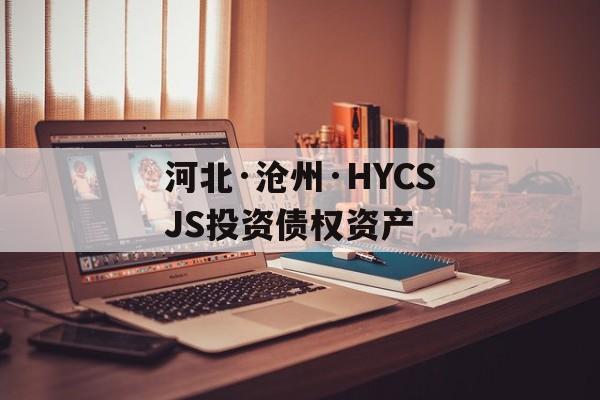 河北·沧州·HYCSJS投资债权资产-第1张图片-定融评测网