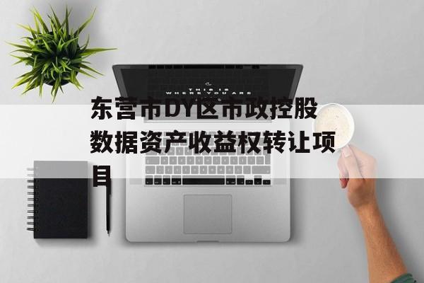 东营市DY区市政控股数据资产收益权转让项目-第1张图片-定融评测网