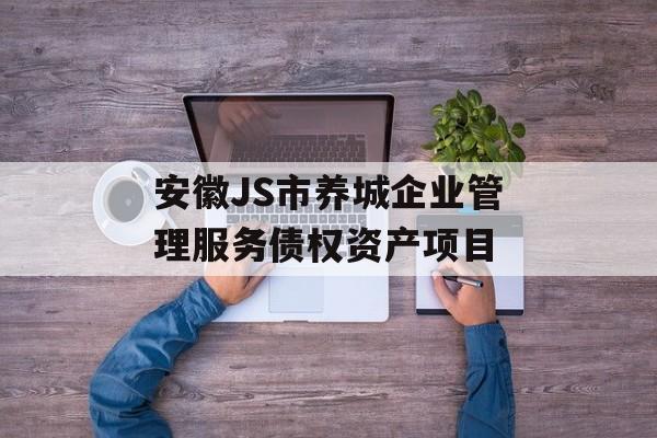 安徽JS市养城企业管理服务债权资产项目-第1张图片-定融评测网