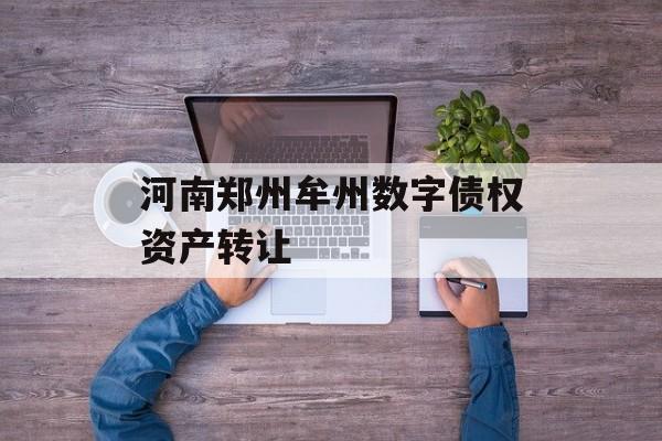 河南郑州牟州数字债权资产转让-第1张图片-定融评测网