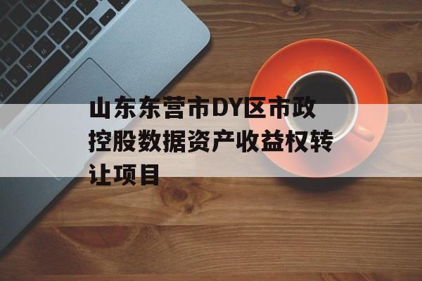 山东东营市DY区市政控股数据资产收益权转让项目-第1张图片-定融评测网