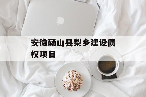 安徽砀山县梨乡建设债权项目-第1张图片-定融评测网