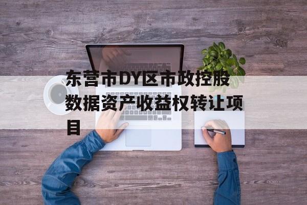 东营市DY区市政控股数据资产收益权转让项目-第1张图片-定融评测网